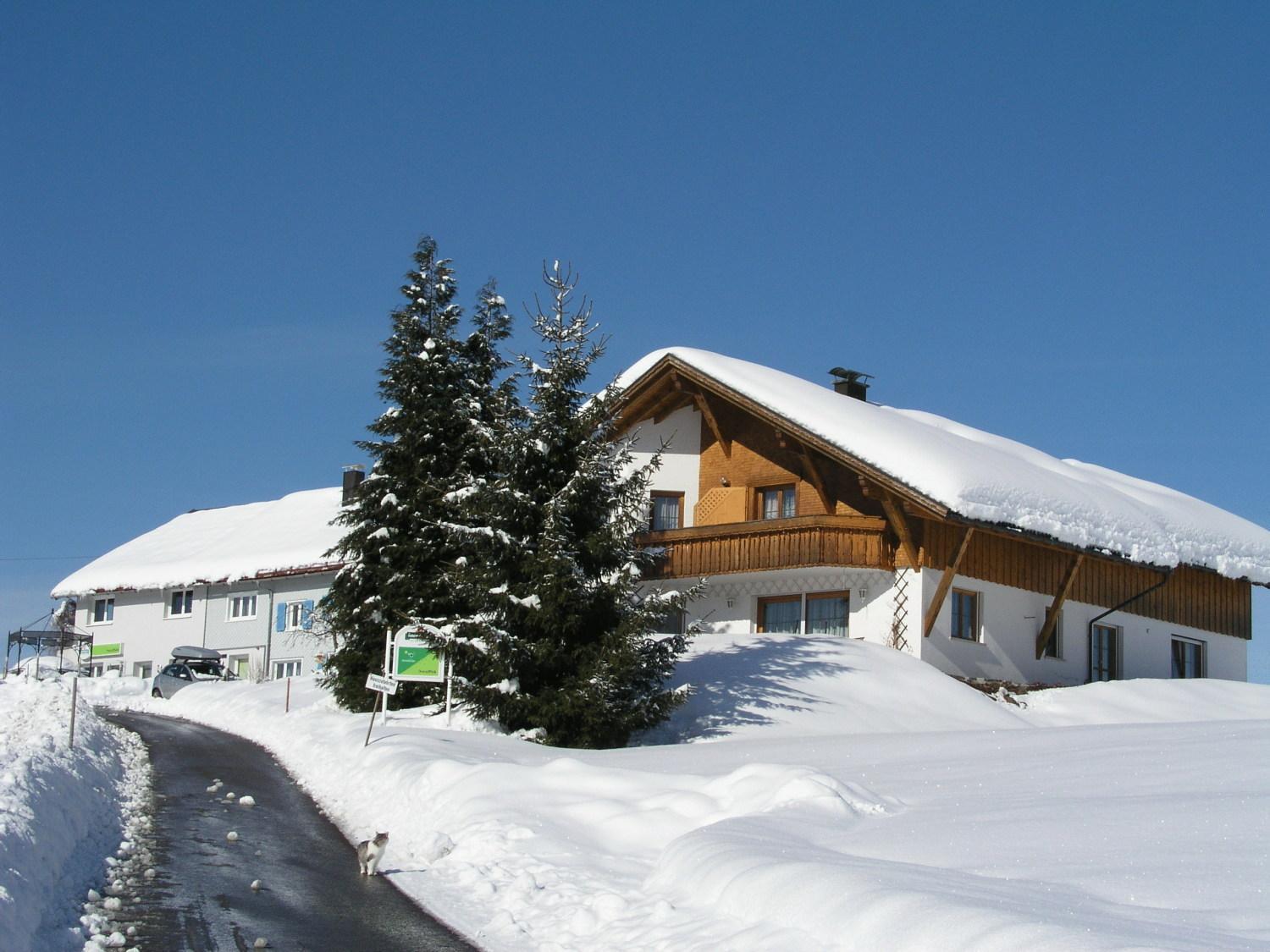 Ferienwohnungen Pension Sonnblick Крумбах Екстер'єр фото